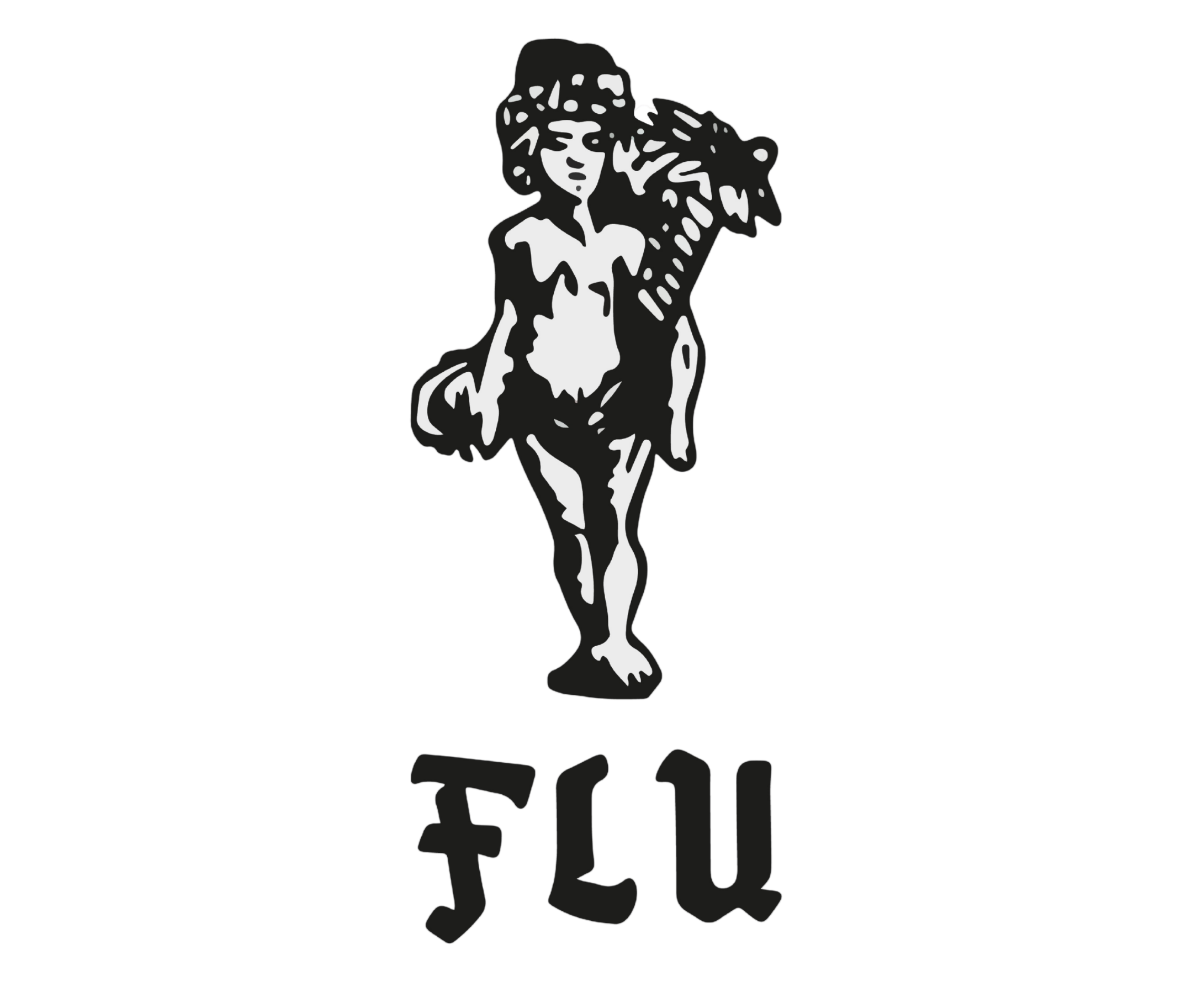 Flu Kitap